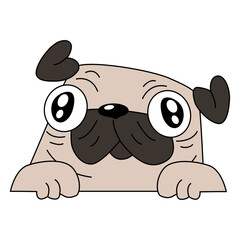 Cute Pug Vector Art