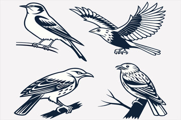set of birds