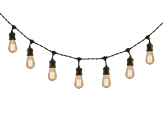 A Single Strand of Nostalgia: Vintage Edison Bulbs Casting Warmth Against a Blank Canvas