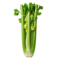 Fresh celery stalk isolated on transparent background