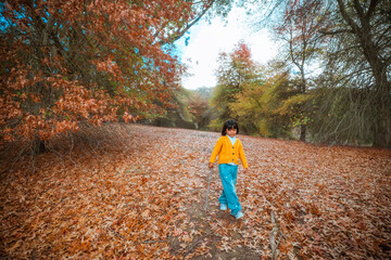 A child strolls through a vibrant autumn landscape filled with colorful leaves