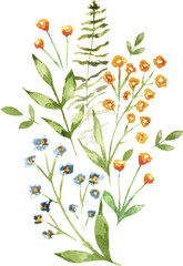 Delicate Wildflowers Watercolor Botanical Illustration