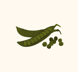 Hand Drawn Green Peas Illustration – Fresh Vegetable in Minimal Style