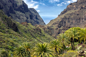 Masca Gorge (Barranco de Masca) panoramic view of spectacular gorge and village in northwestern Tenerife, Canary Islands, Spain.