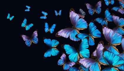A swarm of vibrant blue and purple butterflies gracefully flying against a dark background, creating a beautiful and serene visual display
