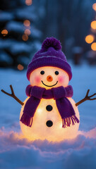 Festive Outdoor LED Snowman Decoration with Stick Arms