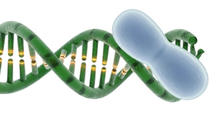 Green DNA molecule with protein isolated PNG on transparent background, genetic code and...