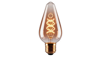 Vintage Edison bulb PNG isolated on transparent background, antique style lightbulb with glowing...