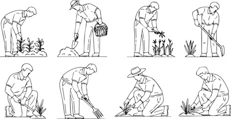 From Soil to Growth: The Discipline of Cultivation