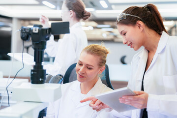 Fototapeta premium Diverse team of female scientists working in busy digital pathology lab. Researchers analyzing histology slides using microscope, tablet, and visual inspection for medical diagnosis.