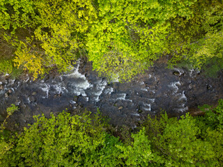 Aerial view of a mountain river flowing through the lush green forest