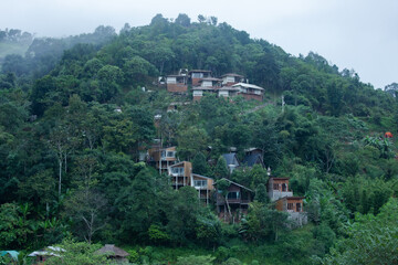 Agricultural Field, Asian Style Conical Hat, Beauty, Colors, Eco Tourism