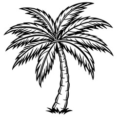 Palm Tree Tropical Plant Vector Illustration