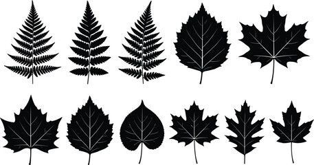 Black botanical leaf silhouette collection, fern and tree leaves set, minimalist nature illustration, floral design elements isolated on white background © Julfikar