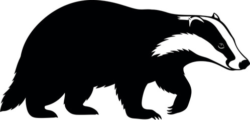 Vector Silhouette of European Badger Isolated on White Background © Safwan Creatives