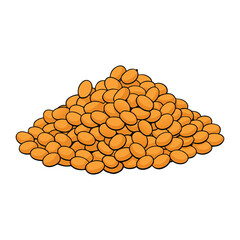 A healthy, protein-rich legume, lentils come in various colors and add earthy flavor to soups, stews, and salads, fueling meals with nutrition and heartiness.
