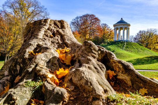 famous monopteros at the english garden in munich