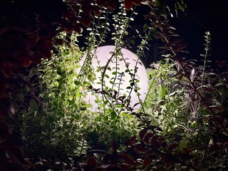 street light sphere in leaves in the dark