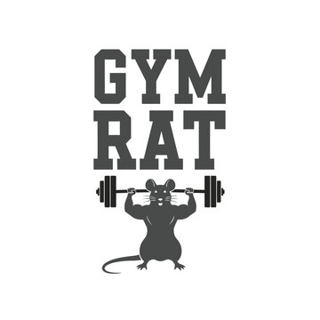 Gym rat typography t-shirt design isolated on transparent background
