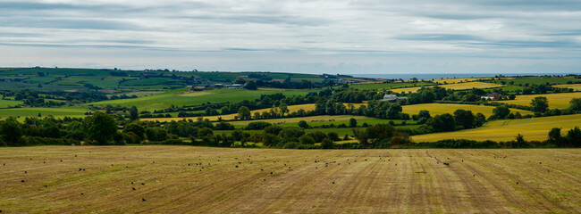 A scenic view of the countryside where golden field meets the distant hills, under a bright sky.