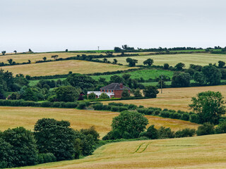 Scenic landscape with a beautiful house nestled in the midst of golden fields, captured on a bright sunny day.