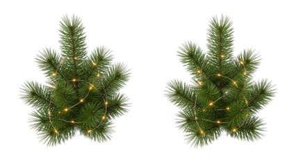 Two small festive pine branches adorned with warm led string lights against a black background