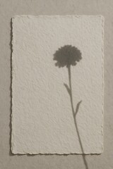 Minimalist flower shadow on textured paper