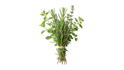 Fototapeta premium Bouquet of Fresh Green Herbs Including Rosemary and Thyme Tied with Twine Isolated on White Background - Culinary Ingredients Concept