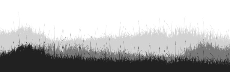 Obraz premium Meadow silhouette with grass, plants on plain. Panoramic summer lawn landscape with herbs, various weeds. Herbal border, frame element. Black horizontal banners. Vector illustration