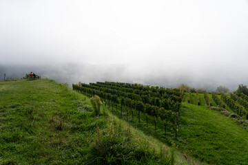 Obraz premium Kaiserstuhl Germany 