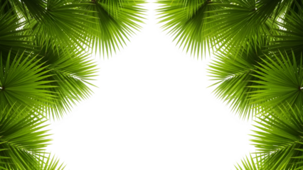 Vibrant green and black abstract fractal design isolated on transparent background
