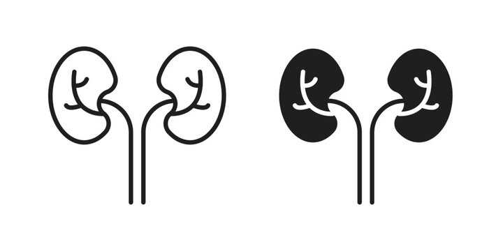 Kidney icon element in flat simple style. Thin stroke editable icons