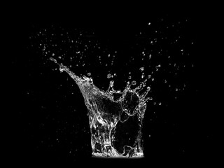 A captivating water splash, frozen in time, with intricate detail against a black background. The splash is clear and pristine, creating a dynamic and refreshing effect. 