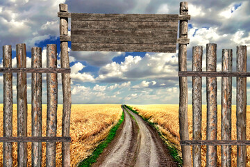 Fence and gate made of logs on the background of a wheat field