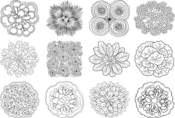 Collection of intricate black and white floral illustrations in various styles and patterns