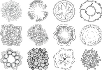 Collection of cellular structures and microscopic biological samples