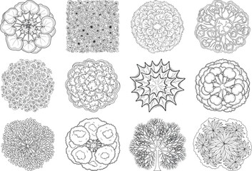Collection of intricate cellular and microscopic structures in various patterns