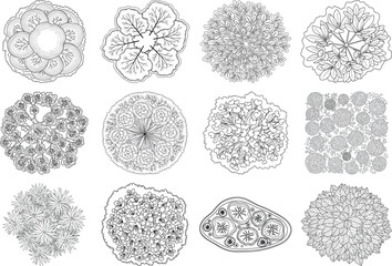 Collection of twelve distinct biological cell structures in black and white