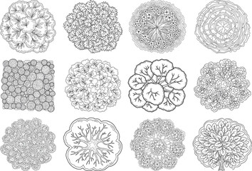 Collection of twelve detailed microscopic biological specimen images