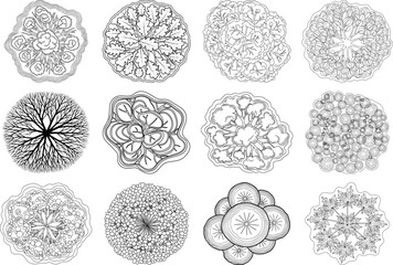 Collection of intricate circular floral patterns with varying designs and textures