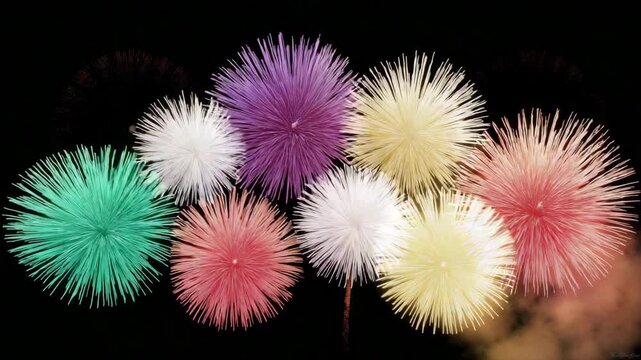 Vibrant dandelion seed head explosions in pink yellow and purple against a dark night sky with subtle smoke effects and a glowing light streak