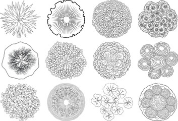 Collection of microscopic cell images with varied textures and structures