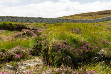 Obraz premium the iconic mourne wall along the Mourne Mountain range with an beautiful view over the countryside, ireland