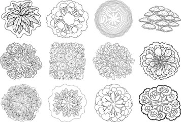 A collection of intricate black and white microscopic organism illustrations