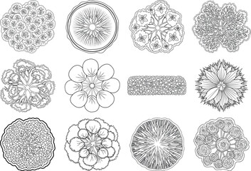 Collection of intricate floral and foliate designs