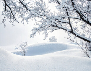雪の積もる枝を接写した雪深い冬の壁紙。