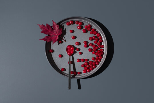 Red currants on gray plate with dark background