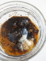 Mold on onions, conserve, Sao Paulo, Brazil