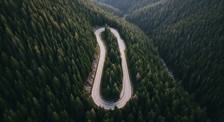 Winding Mountain Road Through Dense Evergreen Forest.