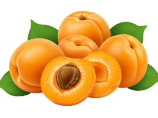 Fresh ripe apricots with green leaves isolated on a white background